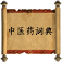 中医药词典